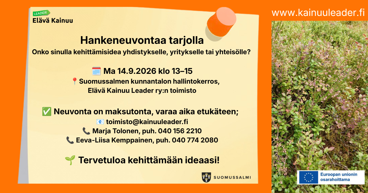 Kuvassa on paljon tekstiä hankeneuvontatilaisuudesta. Tekstit voi lukea avaamalla linkin.