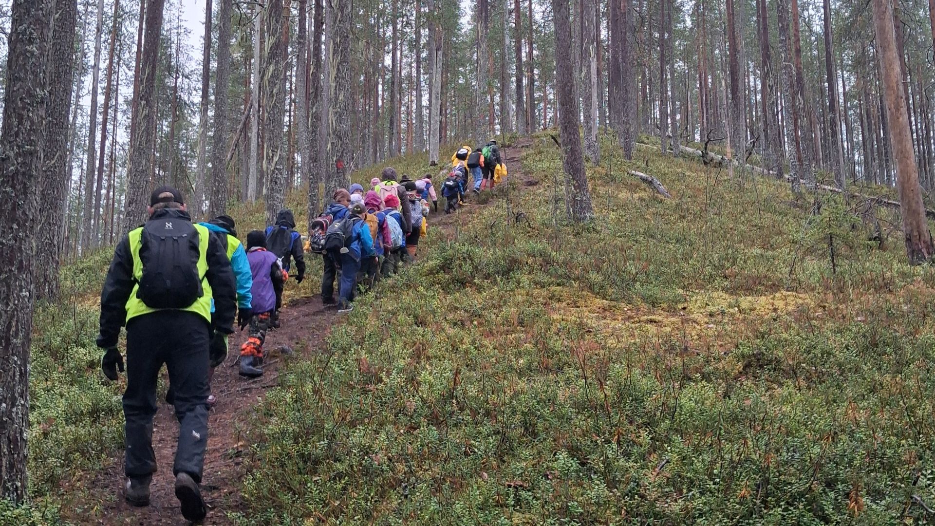 Metsässä, polkua ylämäkeen nousee joukko lapsia, takimmaisena aikuinen.