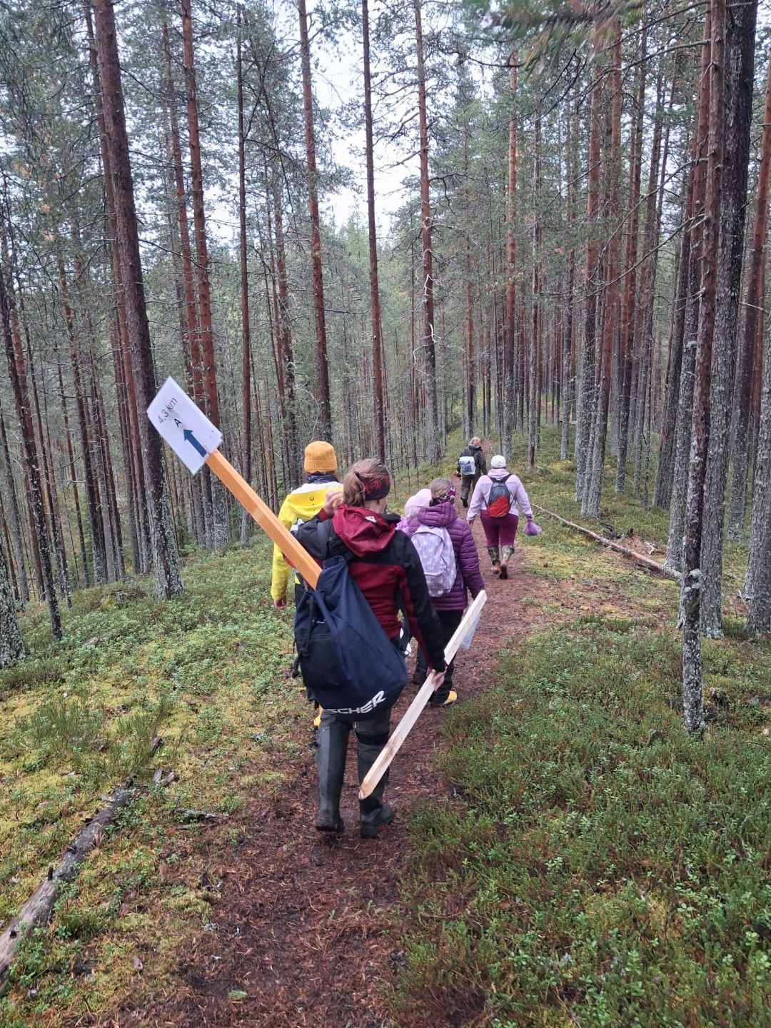 Muutama henkilö metsäpolulla, viimeisellä on olalla kyltti ja toinen kädessä.