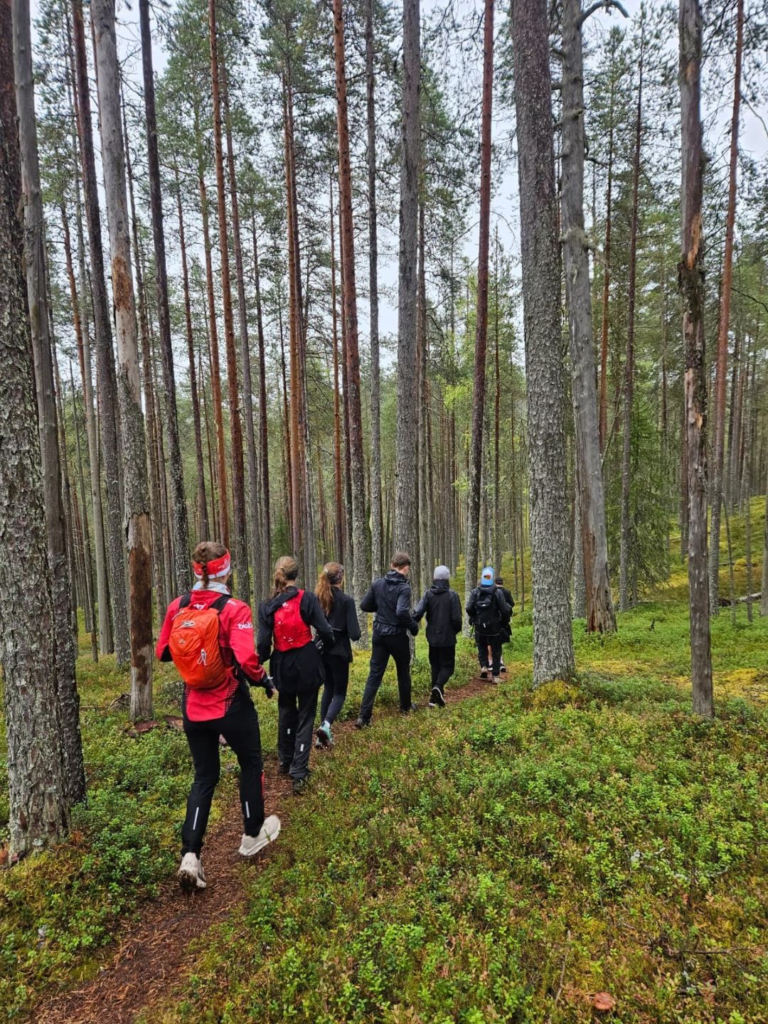 Kuusi henkilöä hölkkää metsäpolulla.