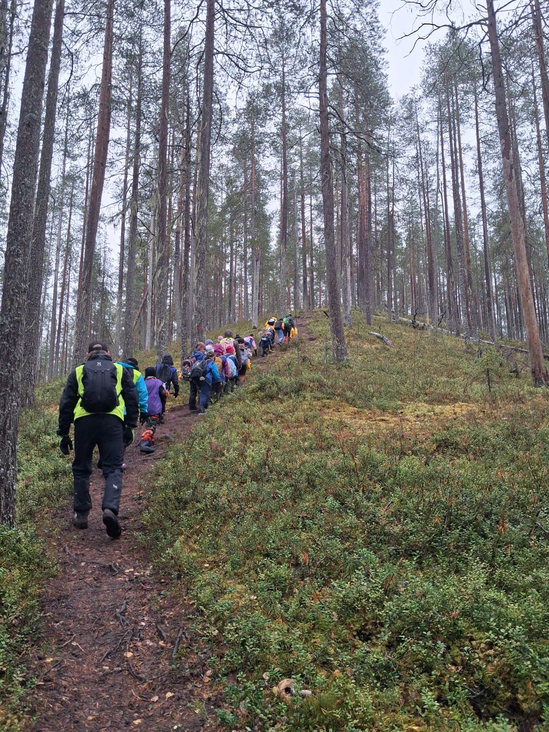 Isohkoko joukko koululaisia kiipeää mäkeä ylös, taaimmaisena aikuinen.