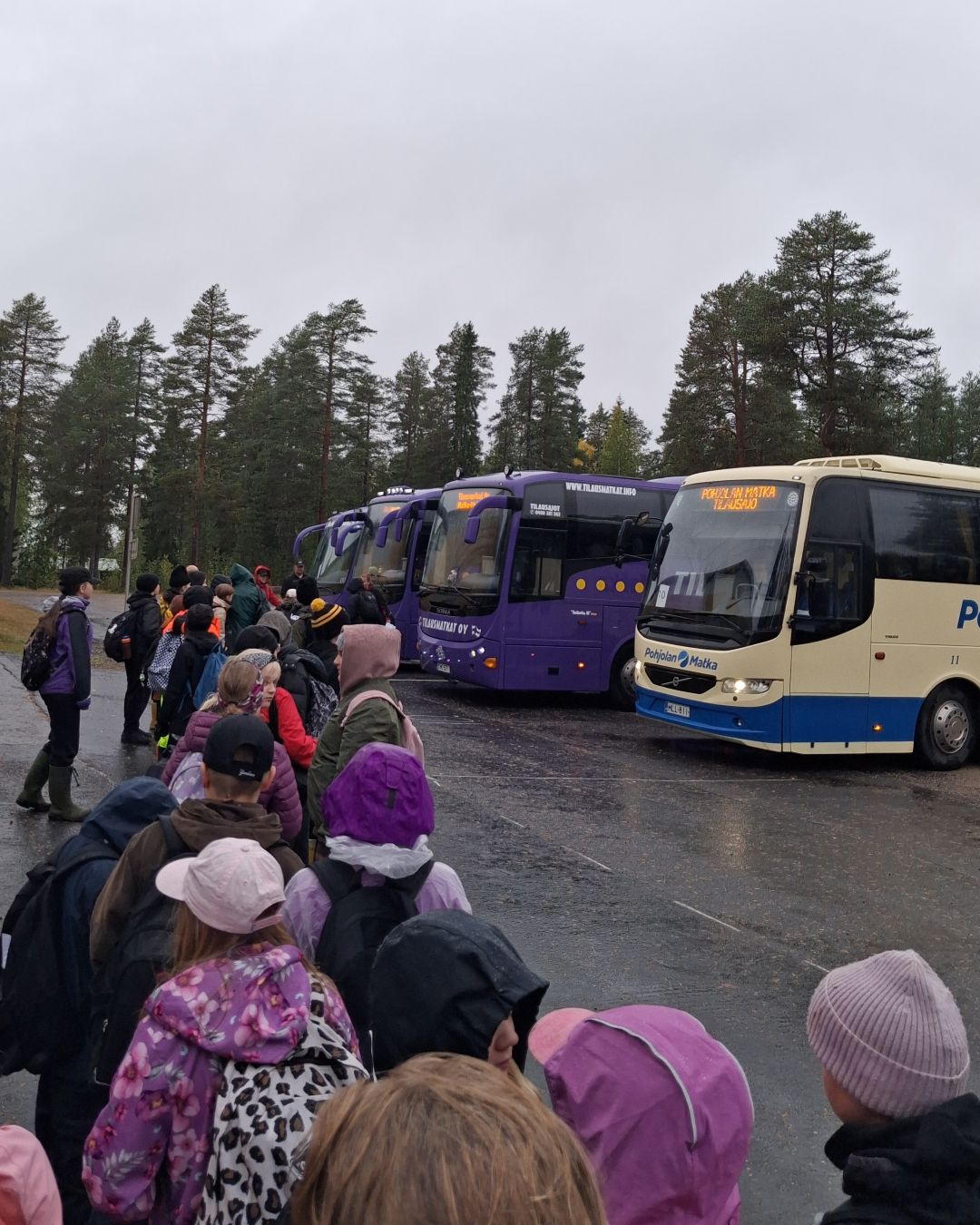 Etualalla joukko lapsia jonottaa päästäkseen neljään rivissä odottavaan bussiin.