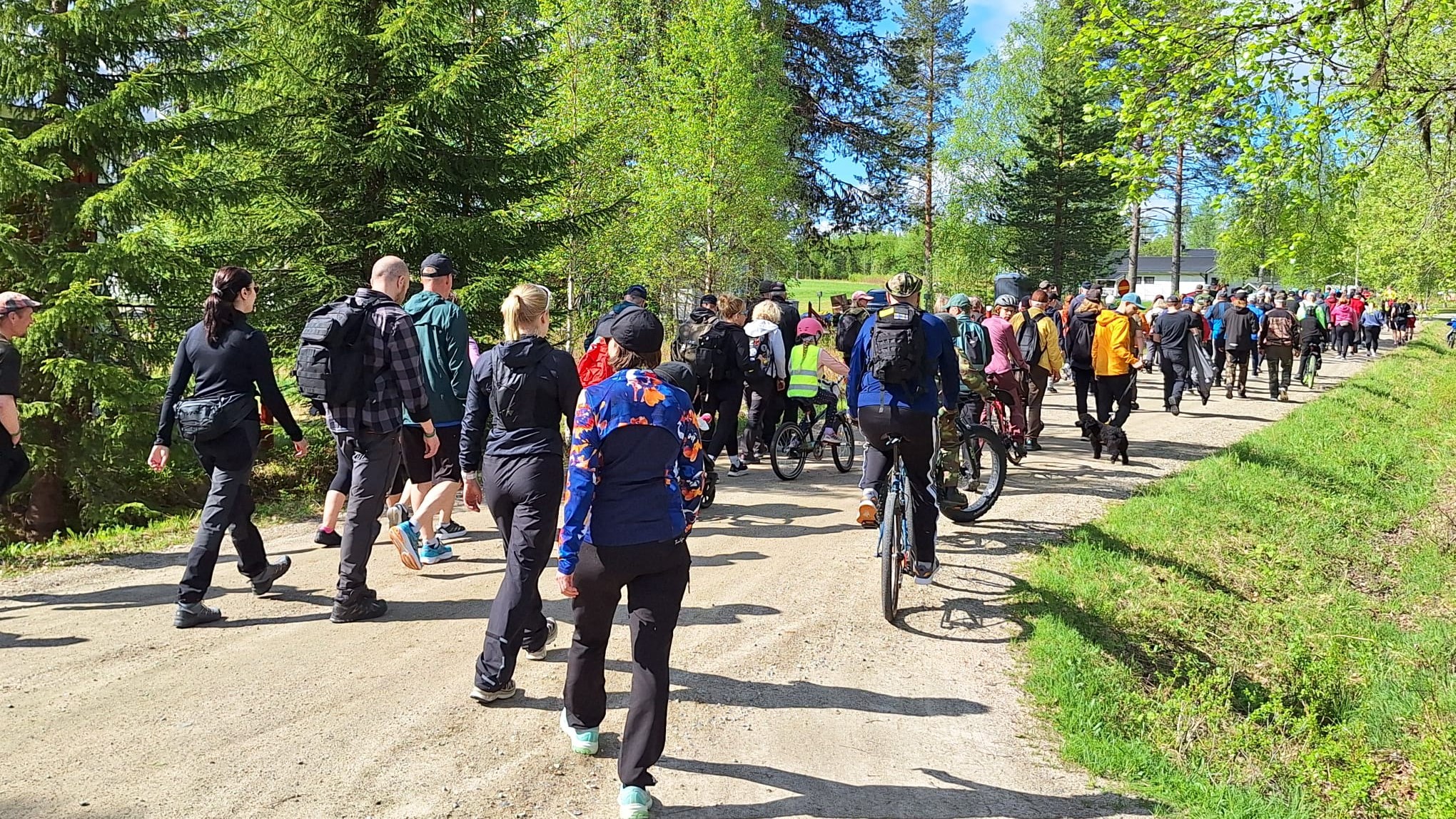 Iso joukko kävelijöitä ja muutama pyöräilijä selin kameraan soratiellä, kesäinen auringonpaiste.