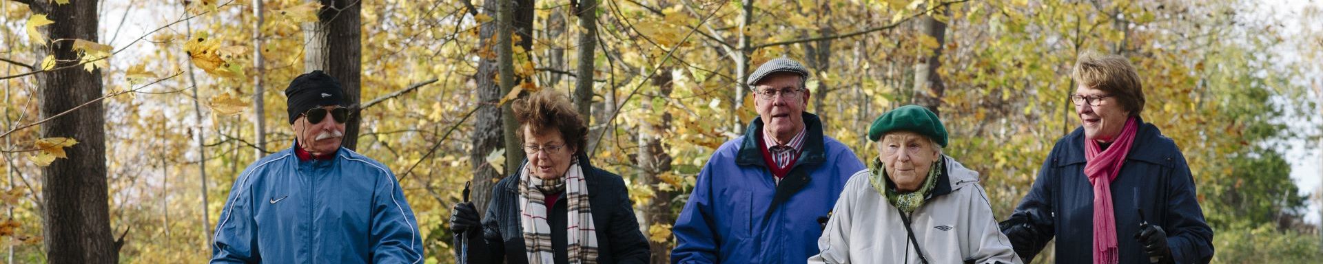 Viisi ikääntynyttä henkilöä sauvakävelee ruskaisessa lehtimetsässä