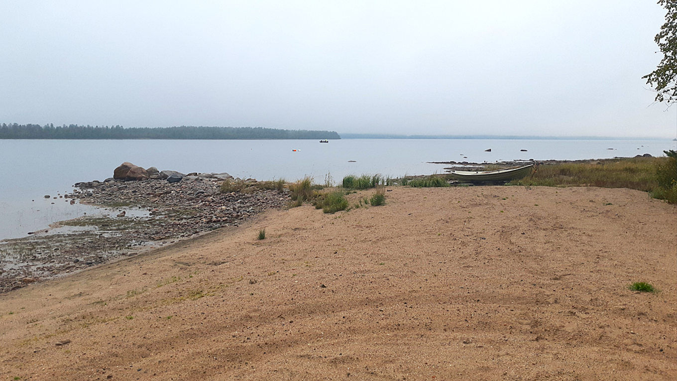 Etualalla hiekkaranta, melko tyynen järven takana näkyy metsäinen vastaranta. Taivas on tasaisen vaaleanharmaa.