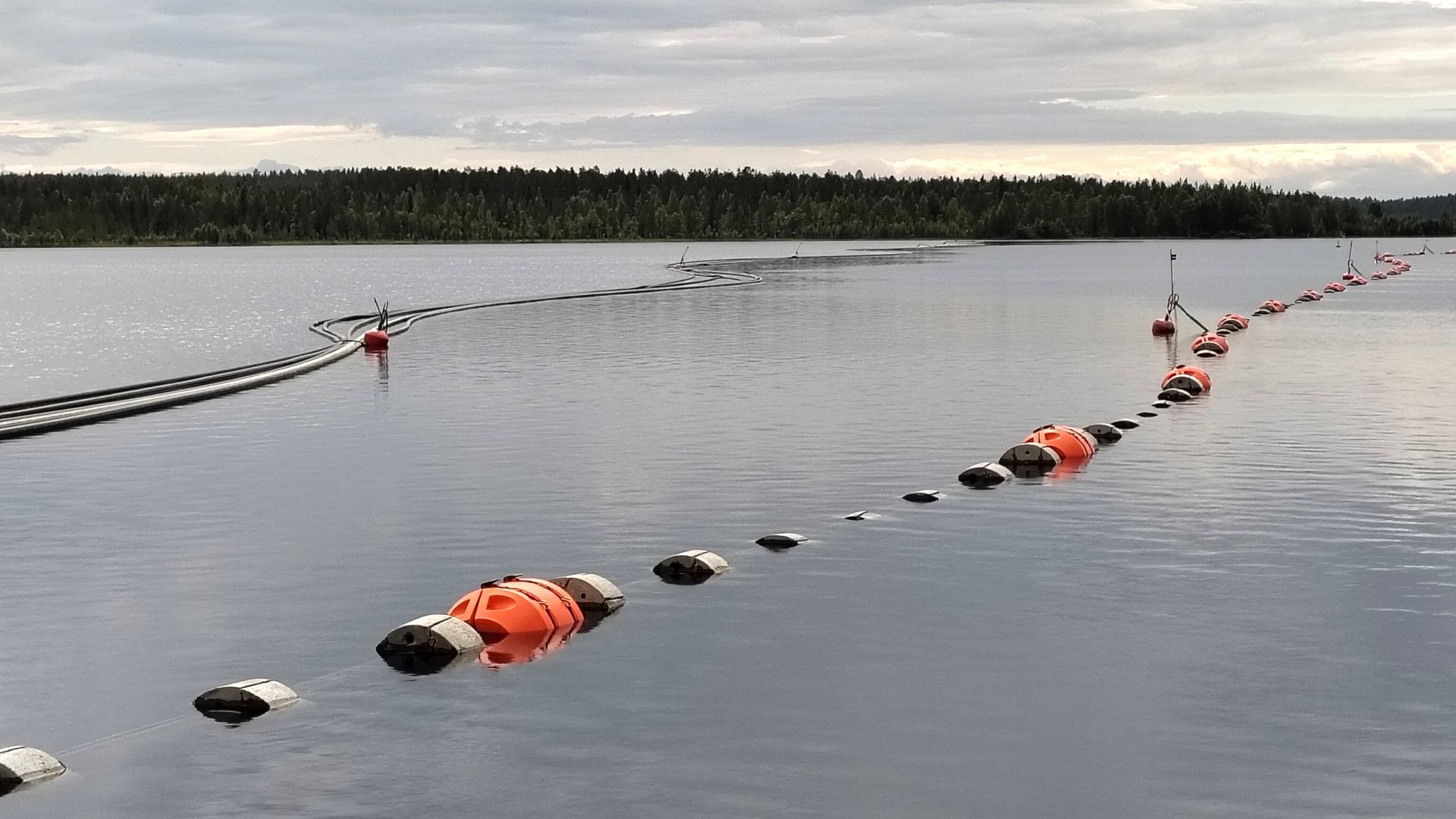 Poijutettua vesijohtoa kelluu järvellä.