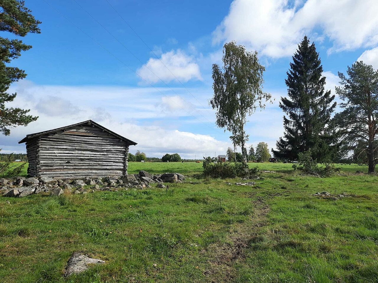 Kesäinen maalaismaisema, niittyä, lato vasemmalla ja pari puuta oikealla.