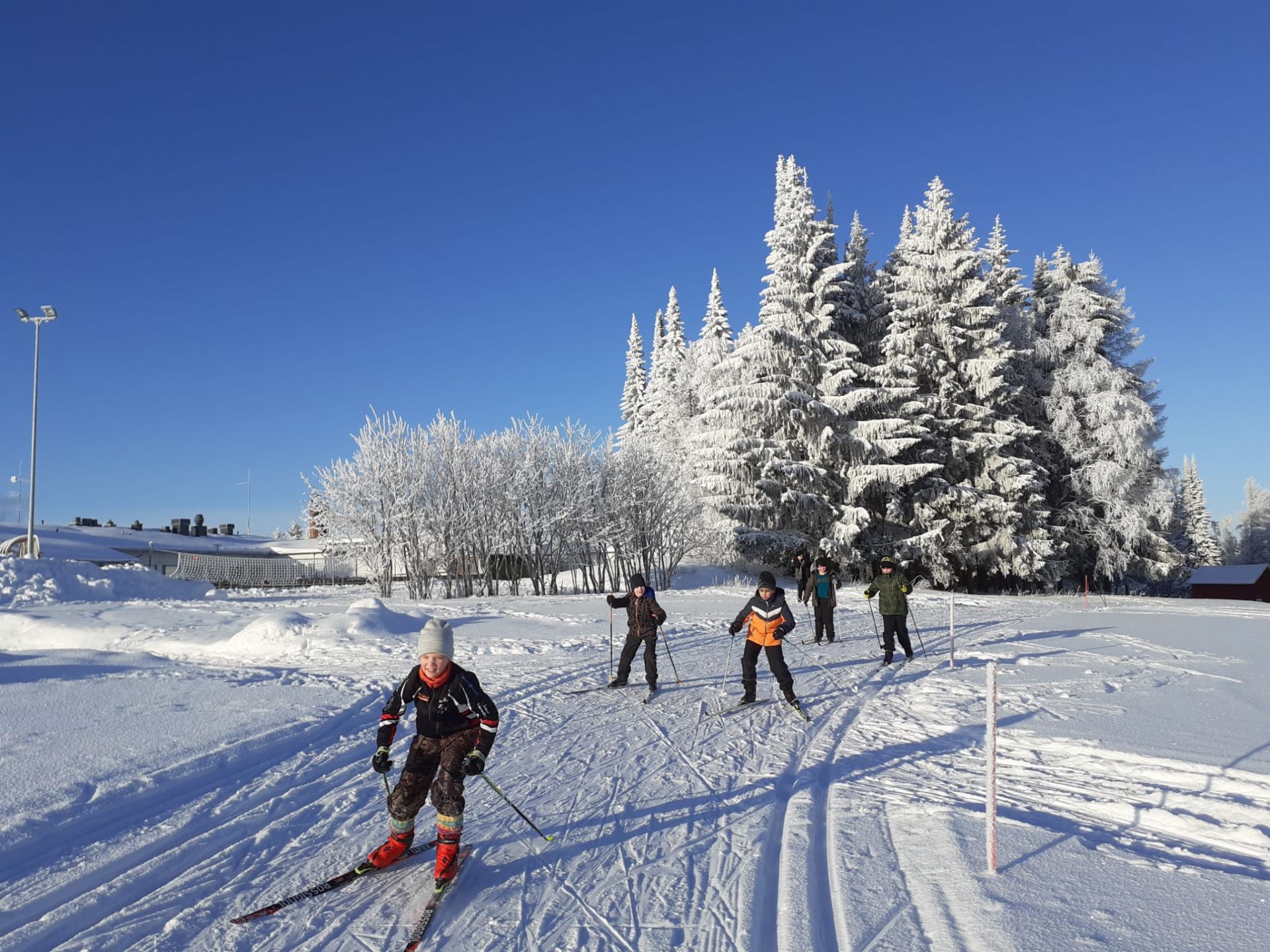 Viisi koululaista hiihtämässä, sininen taivas, hankea, takana kuuraisia ja lumisia puita.