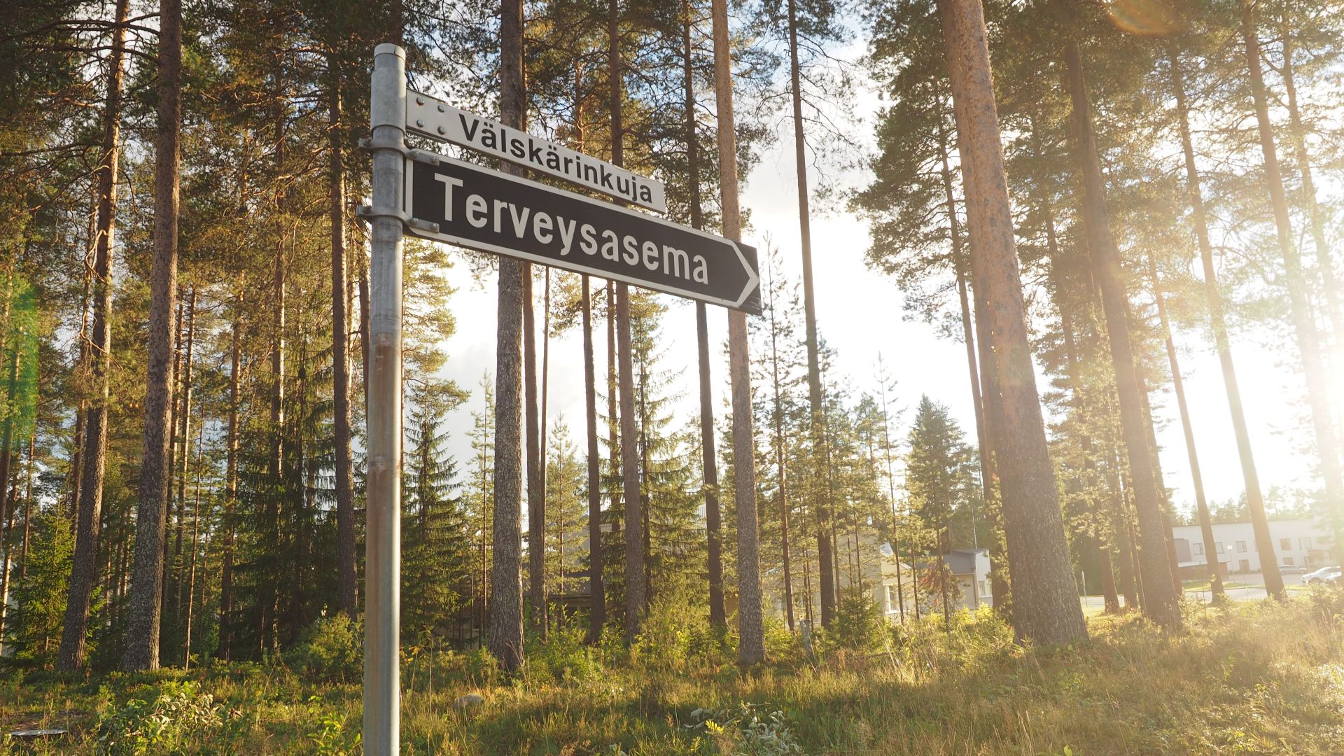 Terveysaseman kyltti, taustalla puita ja niiden takana rakennus.